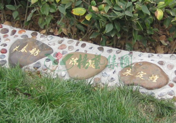 F88星宝(中国集团)官方网站