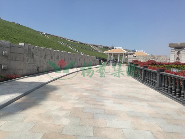 F88星宝(中国集团)官方网站