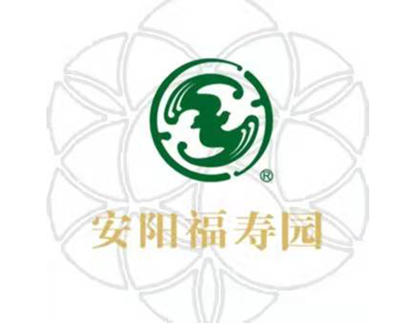 F88星宝(中国集团)官方网站