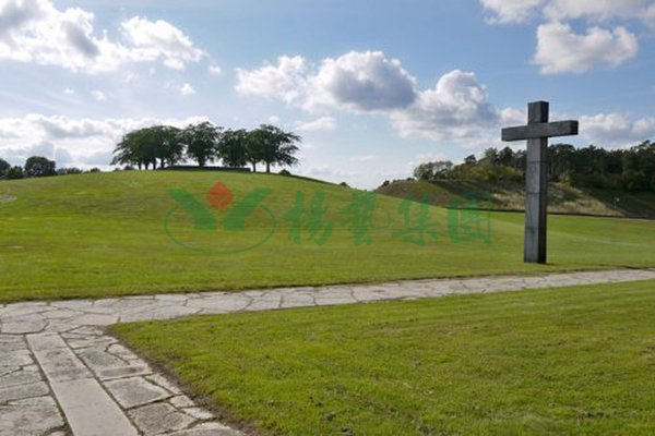 F88星宝(中国集团)官方网站