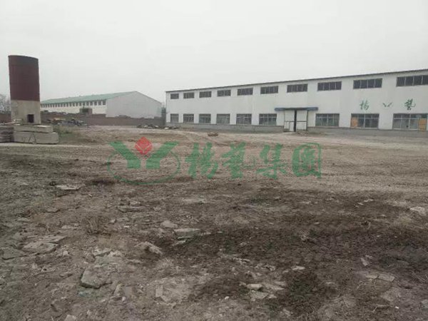 F88星宝(中国集团)官方网站
