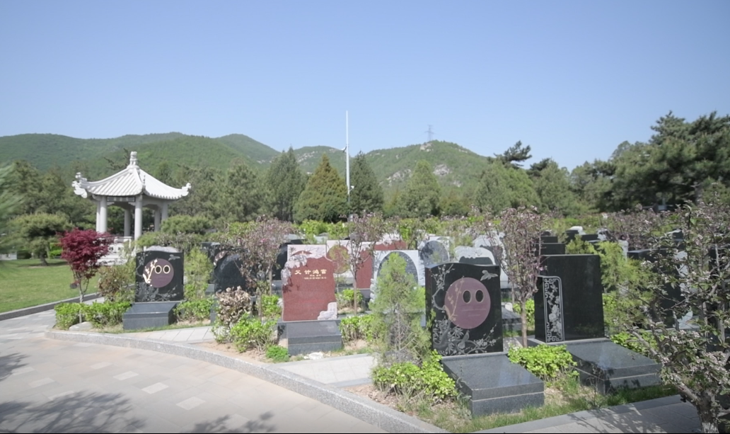F88星宝(中国集团)官方网站