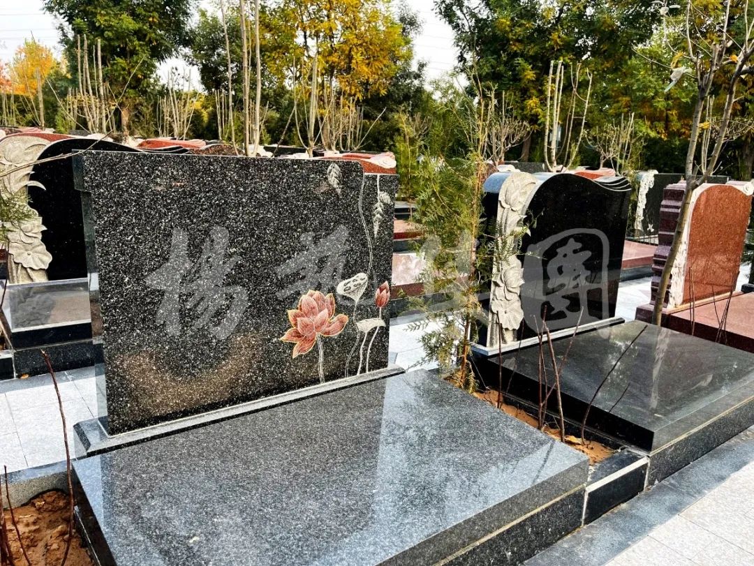 F88星宝(中国集团)官方网站