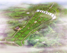 杨艺集团：公墓投资的践行者，经营治理的内行