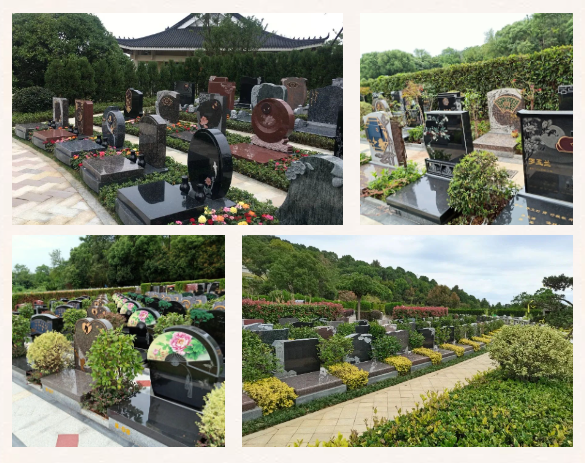 F88星宝(中国集团)官方网站