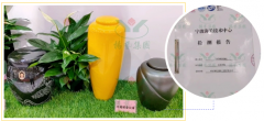 杨艺在行动，节地生态葬的研发与推广