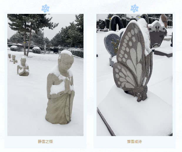 F88星宝(中国集团)官方网站