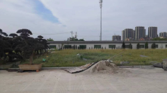 老墓园微刷新，助力城市人文关切