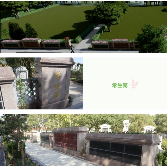 F88星宝(中国集团)官方网站