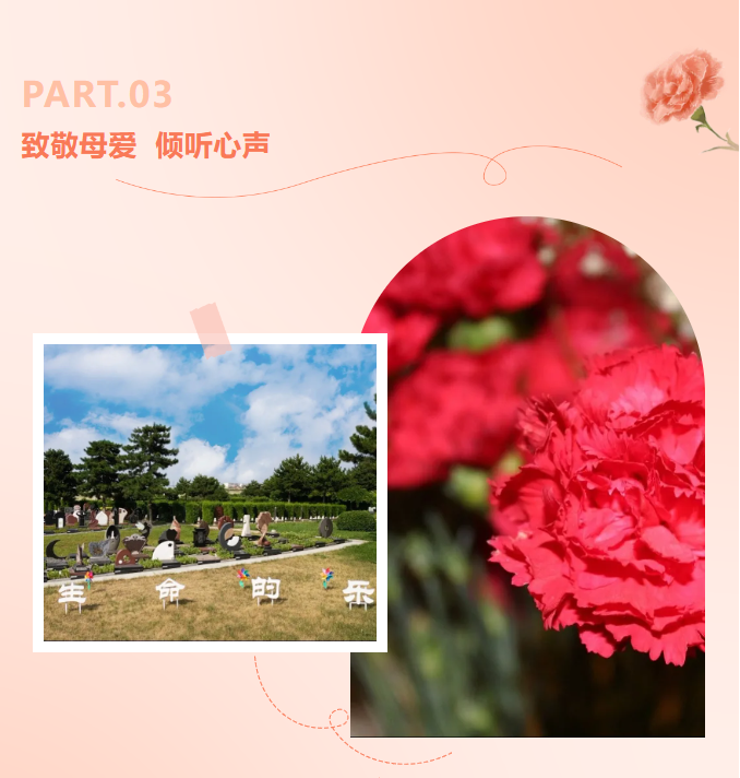 F88星宝(中国集团)官方网站