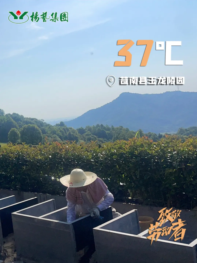 F88星宝(中国集团)官方网站