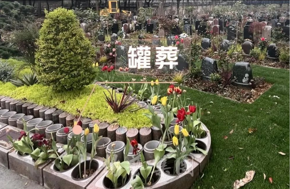 F88星宝(中国集团)官方网站