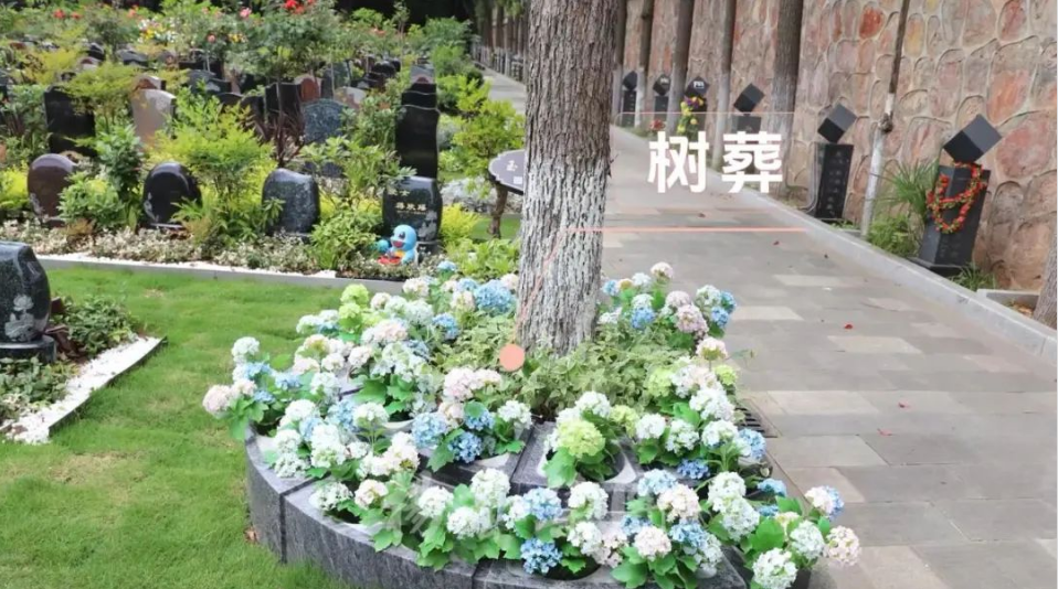 F88星宝(中国集团)官方网站