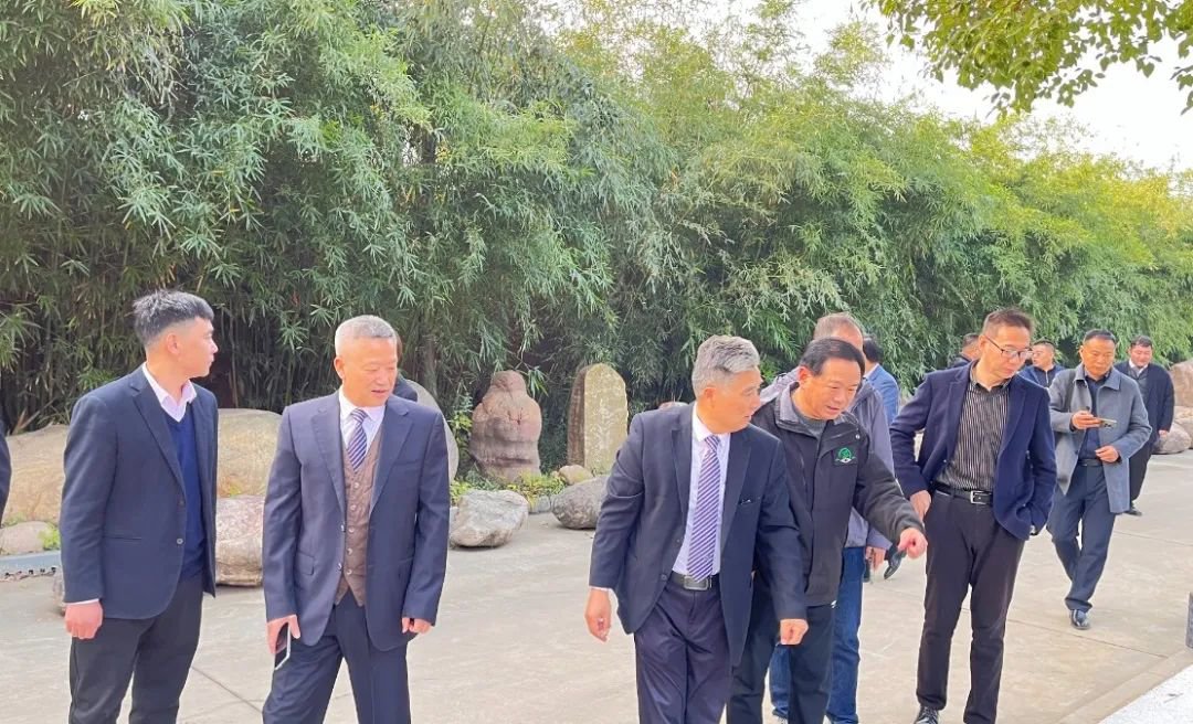 F88星宝(中国集团)官方网站