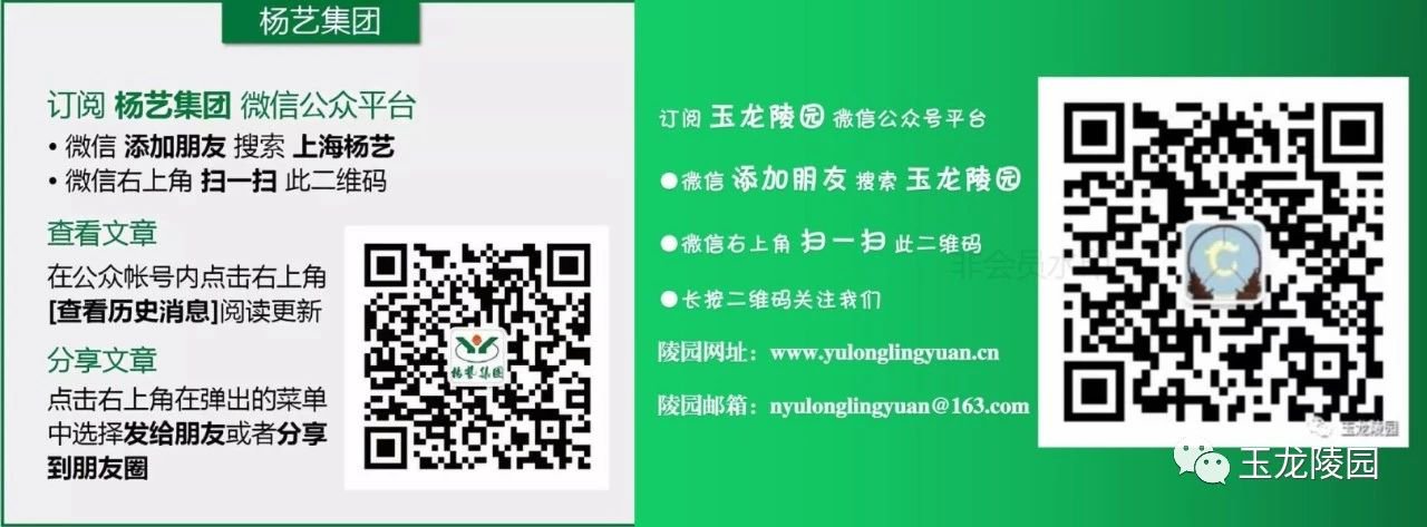 F88星宝(中国集团)官方网站