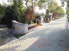 城市最后一平米：生态葬，是与天然的和解？还是无奈的选择？