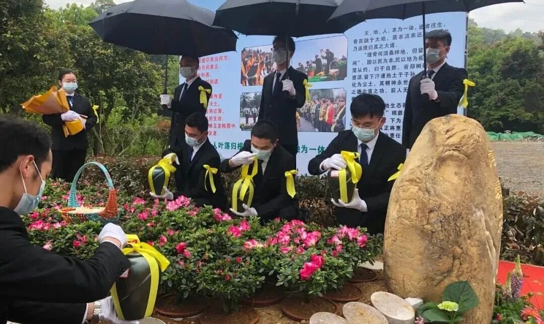 F88星宝(中国集团)官方网站
