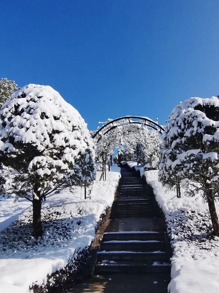 F88星宝(中国集团)官方网站