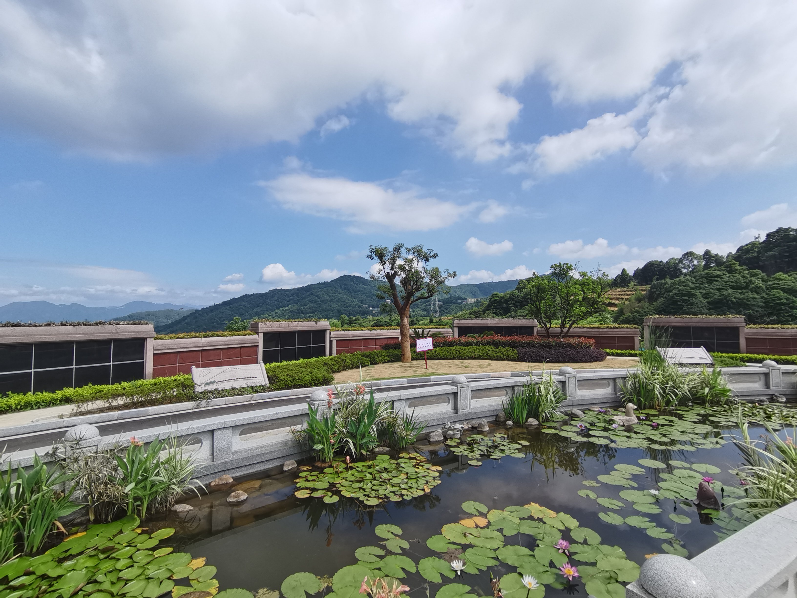 F88星宝(中国集团)官方网站