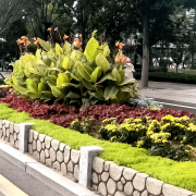无机仿真石花箱：以永恒之名，塑未来之境