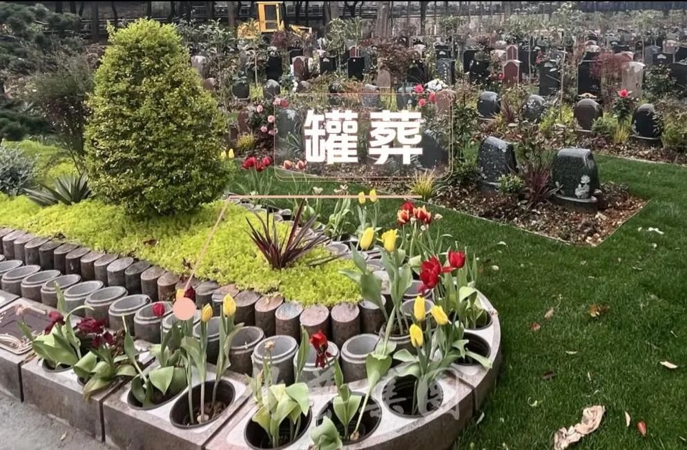 F88星宝(中国集团)官方网站