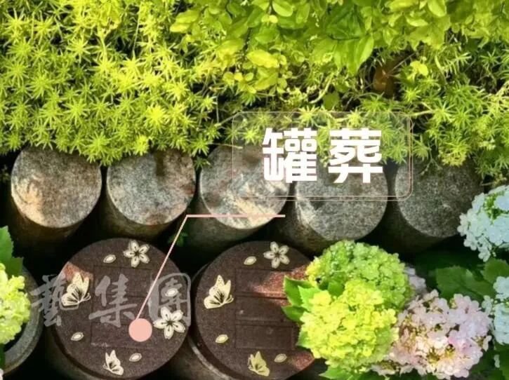F88星宝(中国集团)官方网站